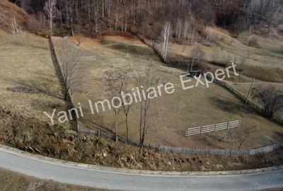 Teren de 4681 mp, în Bărăști - 3