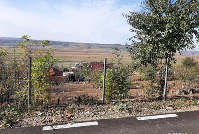 Teren de 520 mp, în Muntenii de Jos - 4
