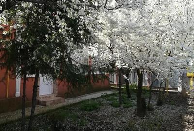 Casă cu 3 camere cu Teren 864 Mp în Siliștea - 5
