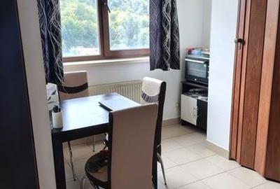 Garsoniera cu priveliste spre Lacul Noua, Brasov - 5