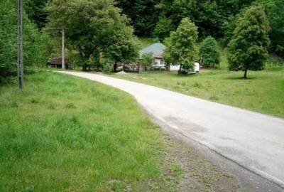 Casa, teren si padure de vanzare-40.000 mp, direct proprietar in Apuseni. - 1
