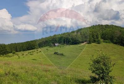 Teren de 128948 mp, în Munteni - 18