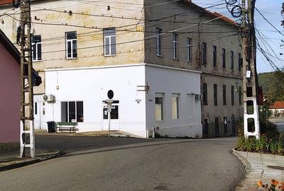 Casă în Baia de Criș - 1