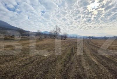 Teren extravilan de vanzare, 72 de arii, zona ?ieu Magheru - 2