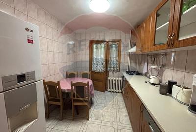 4 camere de vanzare TEIUL DOAMNEI zona verde-linistita, bloc anvelopat - 4