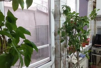 Vinzare Apartament 2 cam. cf.1 parter, semimobilat, zona Radu Negru Vinzare Apartament 2 cam. cf.1 parter, semimobilat, zona Radu Negru - 15