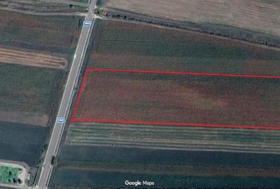 Teren Construcții intravilan de 9600 mp, în Șura Mică - 1