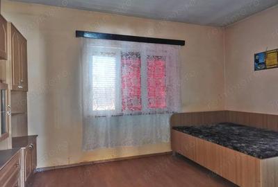 Casă cu 4 camere cu Teren 4122 Mp în Petid - 14