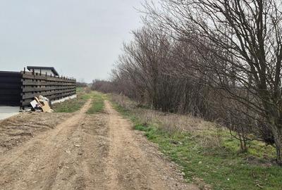 Teren intravilan ieftin Balotesti, 1100 mp, 25000 euro - 4