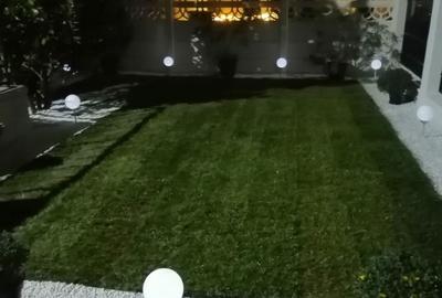 Casă cu 7 camere cu Teren 473 Mp în Central - 12