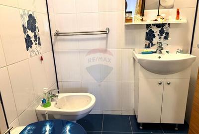Apartament cu 4 camere de vanzare,Strada Crangului Nr. 11, zona Balta - 10