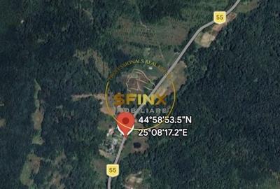 Spațiu comercial, în Furești - 3