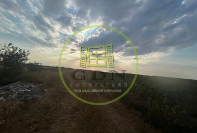 Teren Construcții intravilan de 9500 mp, în Cârcea - 1