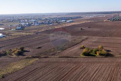 Vanzare teren intravilan 7,400 mp Sabareni / Strada Primaverii - 9