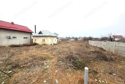 Casă cu 1 camere cu Teren 1142 Mp în Curtișoara - 9