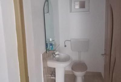 Casă cu 2 camere în Chistag - 4