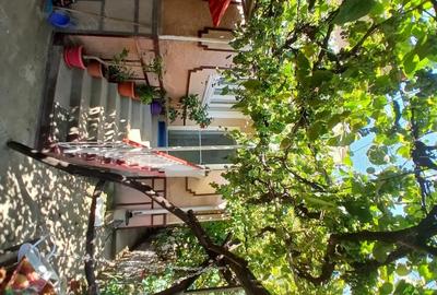 Casă cu 3 camere cu Teren 11000 Mp în Nadiș - 1