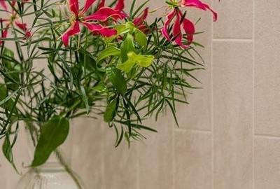 Parc Kiseleff - 3 Camere - Curte - Parcare - 2 Bai - Reconsolidat si renovat - 3