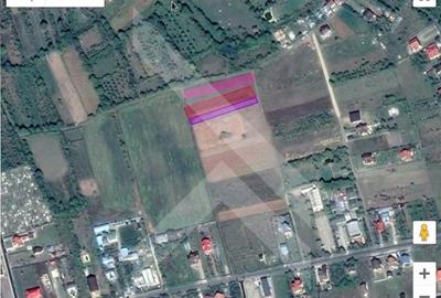 Teren intravilan pentru casa de vacanta - PRAHOVA (Banesti) - 2