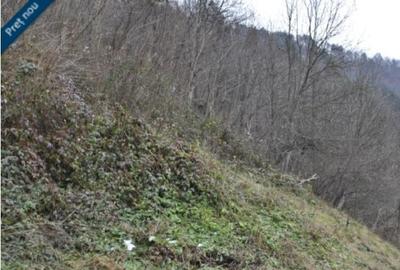 Teren intravilan 2.194 mp, VALCEA, BREZOI - 1