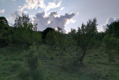 Teren de 18452 mp, în Moroeni - 2