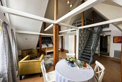 Afacere de succes in Delta Dunarii - Complex turistic la cheie - 8