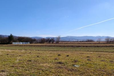 Teren Construcții intravilan de 5500 mp, în Prejmer - 4