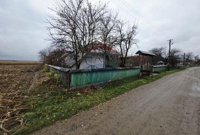 Casă individuală cu 4 camere cu Teren 1677 Mp în Slobozia (Roznov) - 21