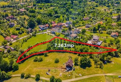 COMISION 0% Teren 7,263mp Sohodol/Valea Sohodolului COMISION 0% Teren 7,263mp Sohodol/Valea Sohodolului - 3