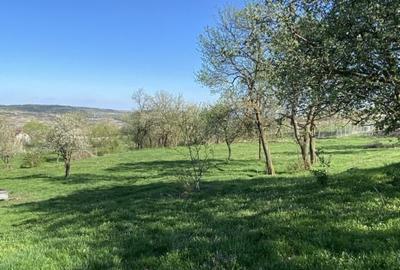 Teren cu casa demolabila Valea Chintaului 2000 mp extravilan - 5