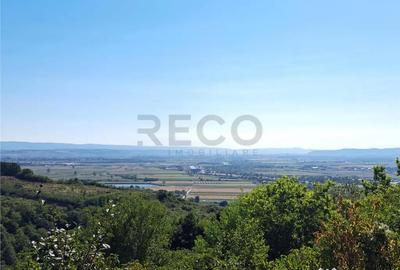 Teren de 9461 mp, în Podgoria - 4