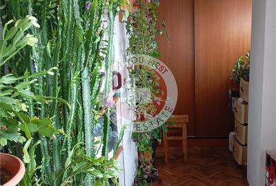 Lujerului | Garsoniera | Decomandata | 50mp | B11705 Lujerului | Garsoniera | Decomandata | 50mp | B11705 - 4