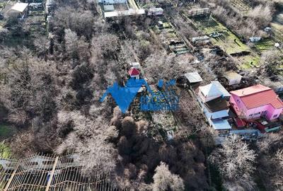 Teren intravilan BIDIDIA, zona deosebita, 550MP - 8