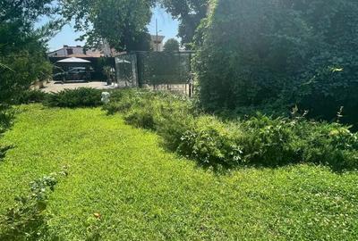 Spațiu comercial, de 111 mp, în Parcul Carol - 5