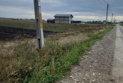 Teren de 7500 mp, în Mărăcineni - 4