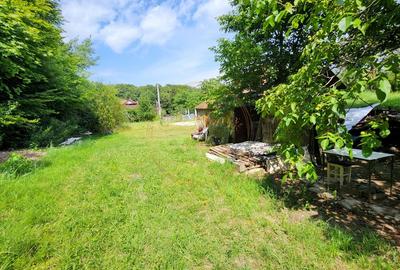 Teren intravilan, 1195mp, utilitati, la liziera padurii, parau, Faget Teren intravilan, 1195mp, utilitati, la liziera padurii, parau, Faget - 6