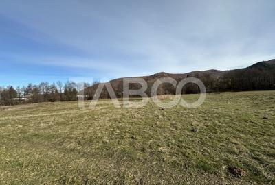 COMISION 0% Teren extravilan 1630 mp langa Rau pe Valea Sebesului - 3