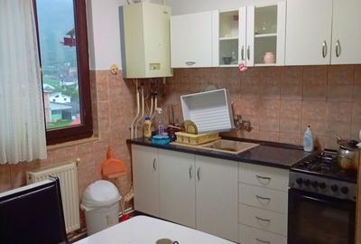 Apartament cu 2 camere semidecomandat în Dodeni - 1