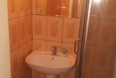 Garsonieră decomandată în Nicolina - 5