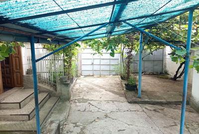 Casă cu Teren 1439 Mp în Brădișoru de Jos - 8