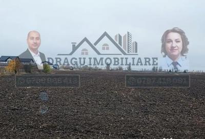 Teren de 27223 mp, în Est - 2