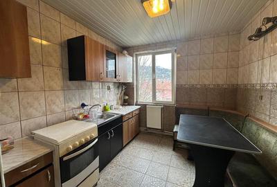 Apartament cu 3 camere semidecomandat, mobilat în Luncă - 17