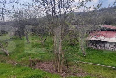 Spațiu comercial, în Gemenea-Brătulești - 8