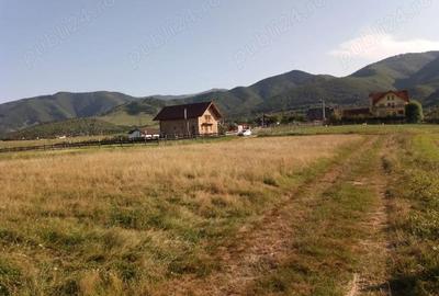 Teren de 1400 mp, în Central - 3