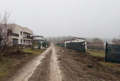 Teren Construcții intravilan de 1000 mp, în Moara Vlăsiei - 10