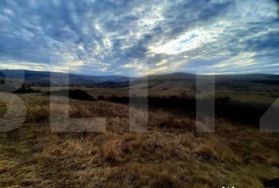 Teren de 2900 mp, în Sopor - 7