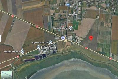 Teren Construcții intravilan de 125000 mp, în Cuza Vodă - 1