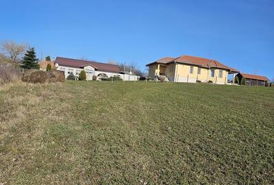 Teren agricol intravilan de 1500 mp, în Cetariu - 3
