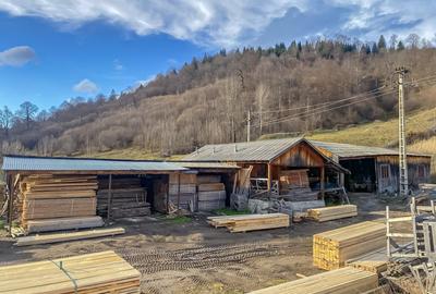 Spațiu industrial, de 1,473 mp, în Tulgheș - 38