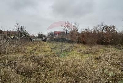 Teren 1,200mp si 400m2 cota drum Satu Nou de Jos / Strada Principala - 2